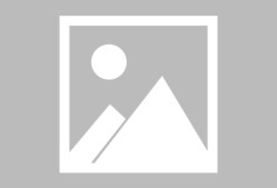 上海申花迎法国杯关键赛，今夜防线松动，更衣室稳定，更衣室氛围转暖的简单介绍-电竞竞猜